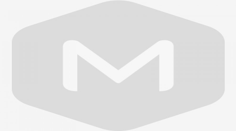 具有環(huán)式電機的環(huán)罩風(fēng)力發(fā)電機